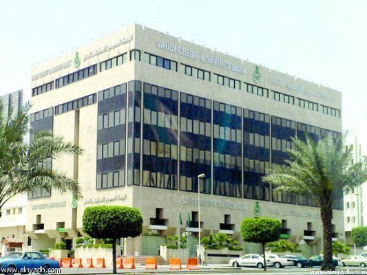 تمويل 3042 مشروعًا بـ 173 مليون ♦