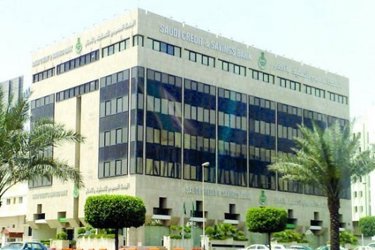 The Director General of the Development Bank values the decision of the Council of Ministers to form the Board of Directors of the Bank